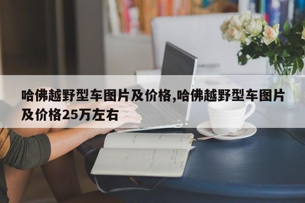 哈佛越野型车图片及价格,哈佛越野型车图片及价格25万左右