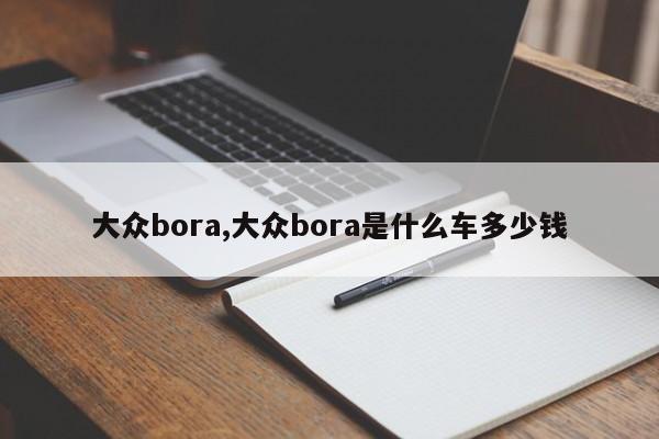 大众bora,大众bora是什么车多少钱