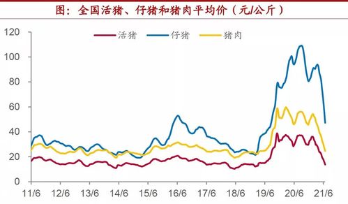 安信国际：生猪板块产能去化加速迎来拐点 建议逢低布局