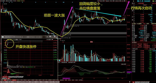 12月19日沪深两市涨停分析：PEEK概念股今日爆发 实丰文化录得4连板